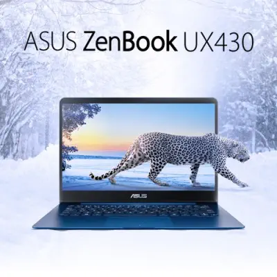 Asus ZenBook UX430UN-GV060T Ultrabook