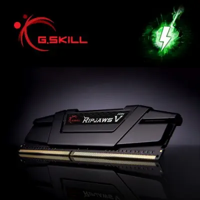 G.Skill Ripjaws V F4-3200C16D-16GVKB Gaming Ram