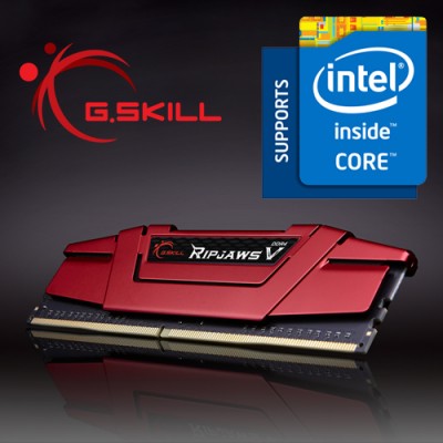G.Skill Ripjaws V F4-3200C16D-16GVKB Gaming Ram