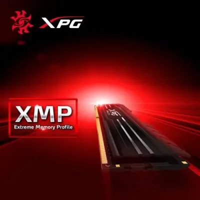 Adata XPG Gammix D10 AX4U266638G16-SRG Gaming Ram