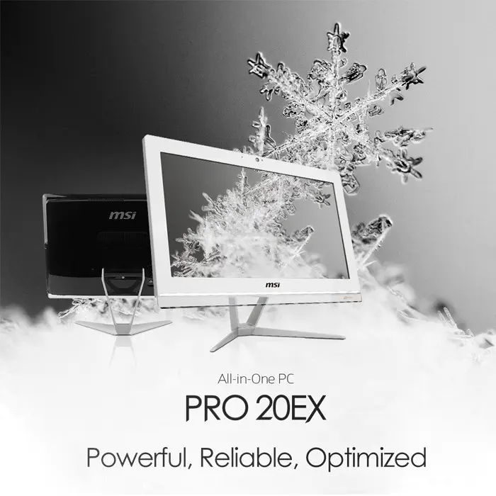 MSI Pro 20EXTS 8GL-011XTR All In One Pc