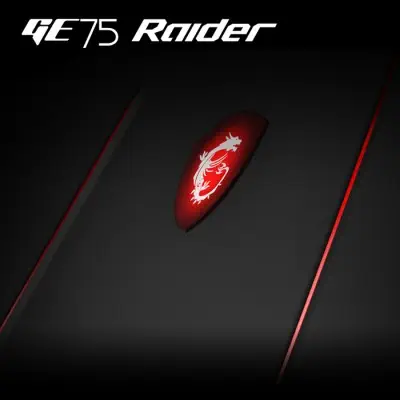 MSI GE75 Raider 8SF-240XTR Gaming Notebook