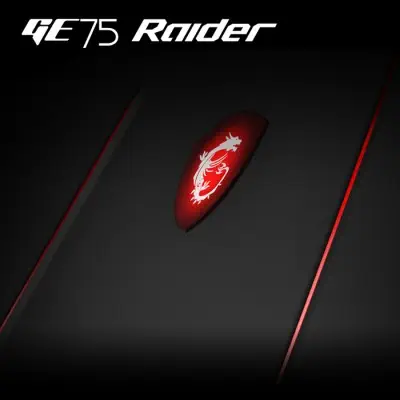 MSI GE75 Raider 8SE-230XTR Gaming Notebook