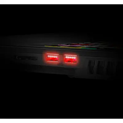 MSI GE75 Raider 8SG-274TR Gaming Notebook
