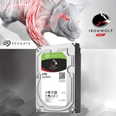Seagate IronWolf ST8000VN0022 Nas Disk