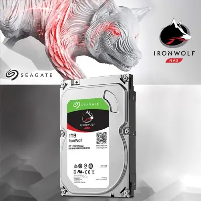 Seagate IronWolf ST1000VN002 Nas Disk