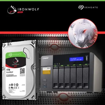 Seagate IronWolf ST1000VN002 Nas Disk