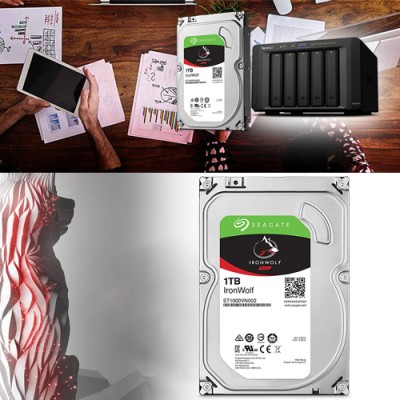 Seagate IronWolf ST1000VN002 Nas Disk