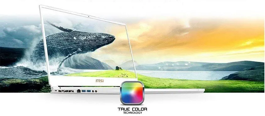 MSI P65 Creator 9SE-409TR Notebook