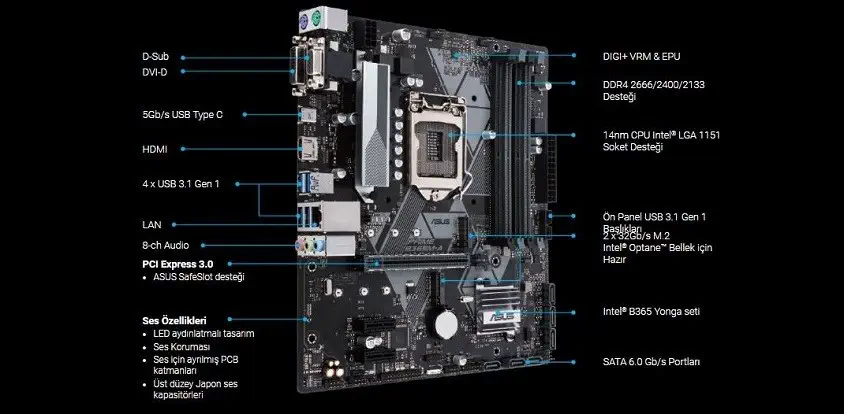 Asus Prime B365M-A mATX Anakart