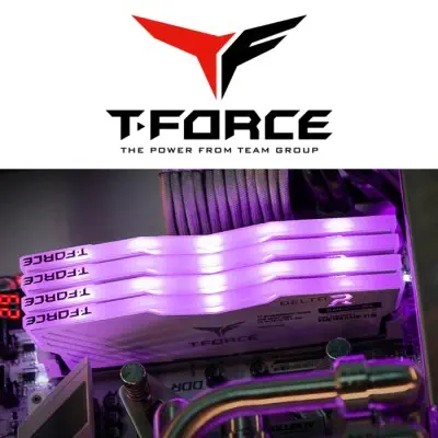 Team T-Force Delta RGB TF3D48G2666HC15B01 Gaming Ram