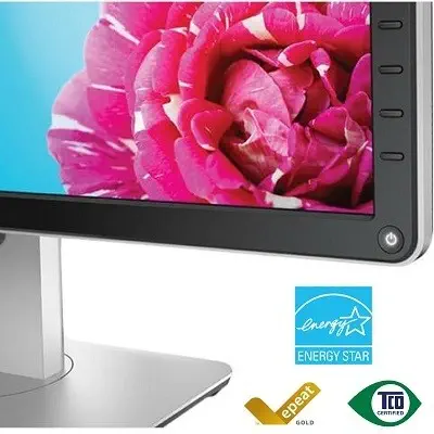 Dell P2415Q 23.8 inç Monitör