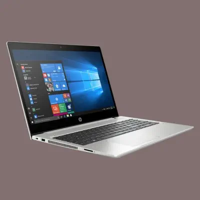 HP ProBook 450 G6 6MQ70EA Notebook