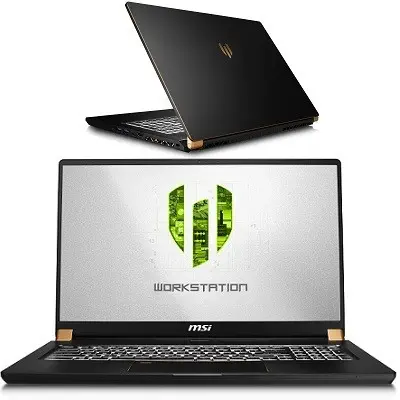 MSI WS75 Mobile Workstation WS75 9TK-668TR Notebook