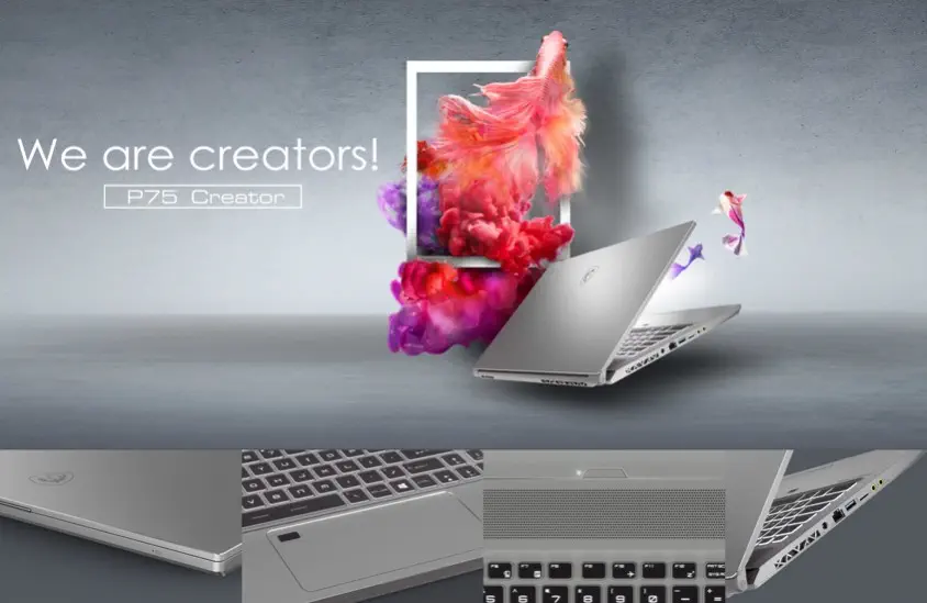 MSI P75 Creator 9SE-667TR Notebook