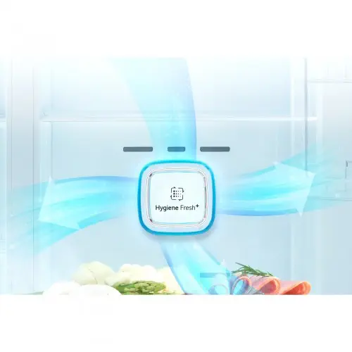 LG GC-B559EQQZ A++ 499 Lt Kombi Tipi Buzdolabı