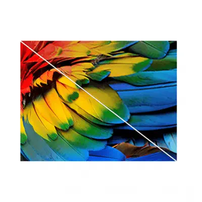 Vestel 43FB5000 43 inç 109 Ekran Uydu Alıcılı Full HD LED Tv