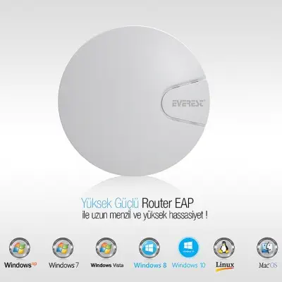 Everest EWiFi EAP 300Mbps Router 