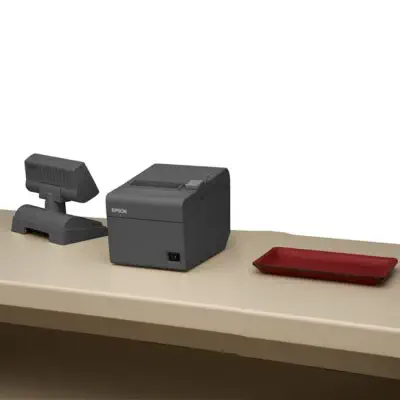 Epson TM-T20II-002 USB + Seri Termal Yazıcı