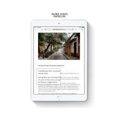 Apple iPad 7. Nesil 128GB Wi-Fi + Cellular 10.2″ Gümüş MW6F2TU/A Tablet 