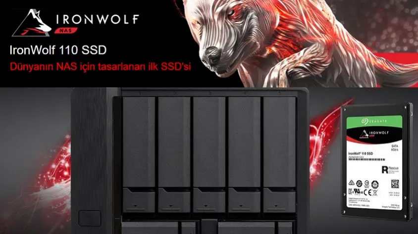 Seagate IronWolf 110 ZA960NM10011 960GB SSD Disk