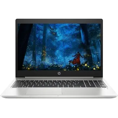 HP 450 G6 6MP57ES Notebook