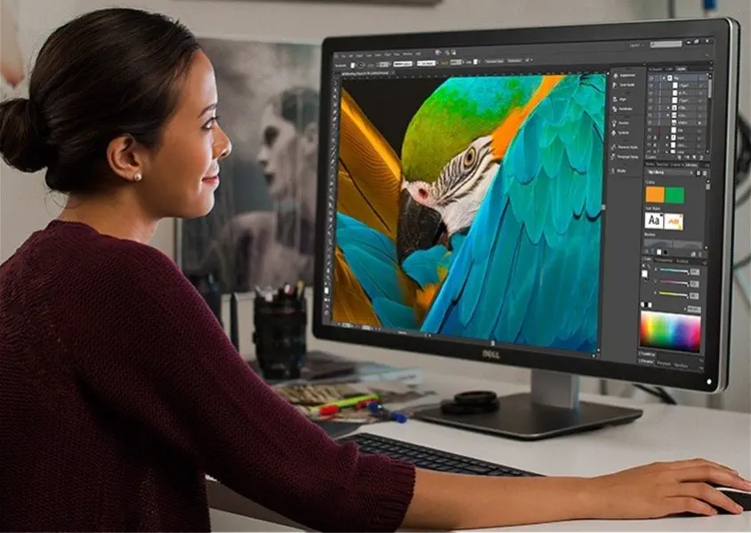 Dell UltraSharp UP3216Q 31.5 inç 4K Monitör