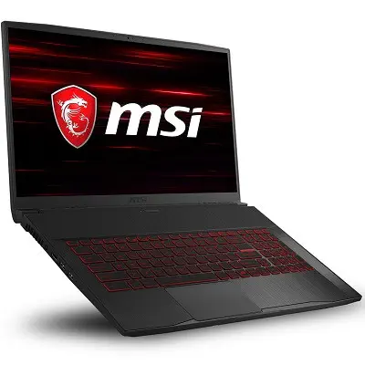 MSI GF75 Thin 9SC-439XTR Notebook