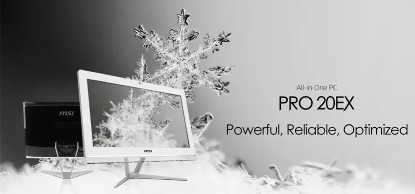 MSI Pro 20EXTS 8GL-045XTR All In One PC