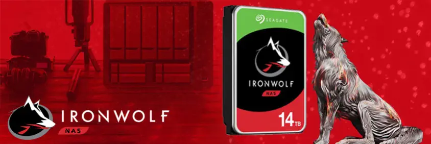 Seagate Ironwolf ST14000VN0008 14TB NAS Disk