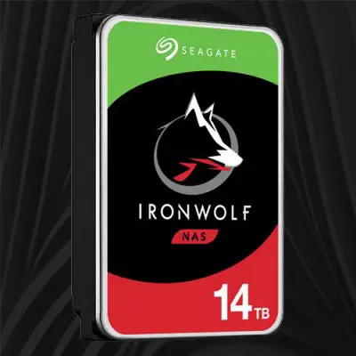 Seagate Ironwolf ST14000VN0008 14TB NAS Disk