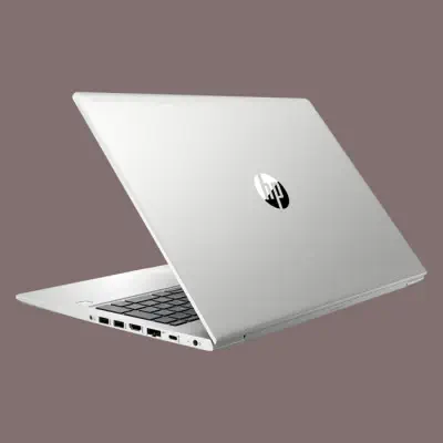 HP ProBook 450 G6 8VT78ES Notebook