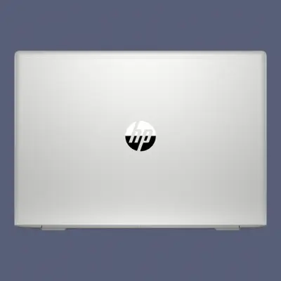 HP ProBook 450 G6 8VT78ES Notebook