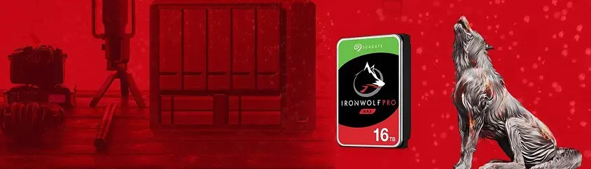 Seagate Ironwolf Pro ST10000NE0008 10TB NAS Disk