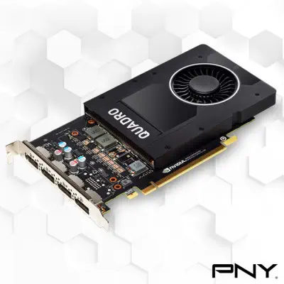 PNY Quadro P2200 VCQP2200-SB Ekran Kartı