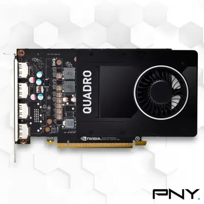 PNY Quadro P2200 VCQP2200-SB Ekran Kartı 