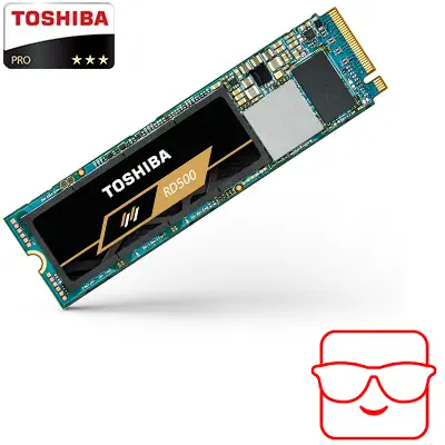 Toshiba OCZ RD500 THN-RD50Z0013G8(CS 1TB NVMe M.2 SSD Disk 