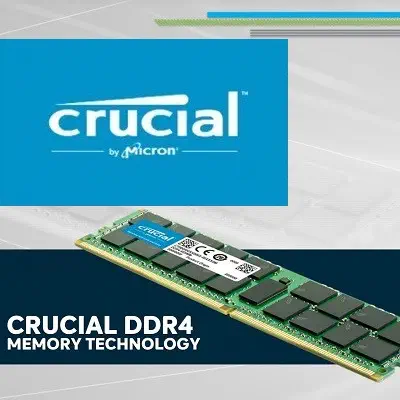 Crucial CT32G4RFD4266 32GB Sunucu Ram
