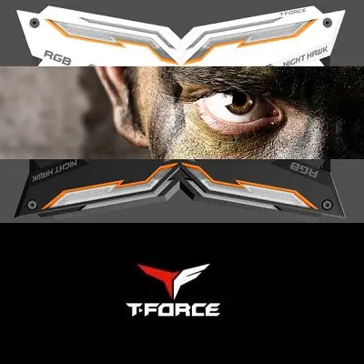 Team T-Force Night Hawk RGB TF2D416G3200HC16CDC01 Gaming Ram