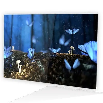 AOC 27B2H 27″ IPS WLED FullHD Monitör