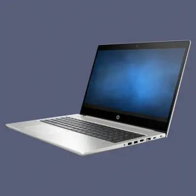HP ProBook 450 G6 8VT79ES Notebook