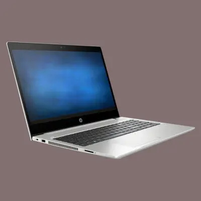 HP ProBook 450 G6 6MQ73EA Notebook