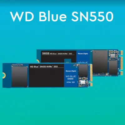 WD Blue SN550 WDS100T2B0C 1TB PCIe NVMe M2 SSD Disk