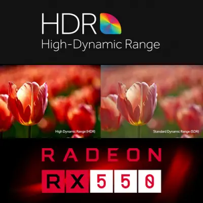 MSI Radeon RX 550 2GT LP OC Gaming Ekran Kartı