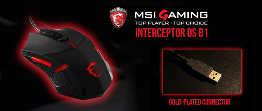 MSI Interceptor DS B1 Kablolu Gaming Mouse