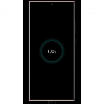 Samsung Galaxy Note 20 Ultra 256GB Siyah Cep Telefonu