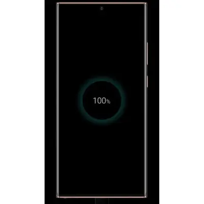 Samsung Galaxy Note 20 Ultra 256GB Siyah Cep Telefonu