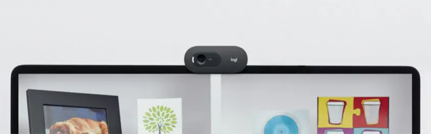 Logitech C505 960-001364 720P HD Webcam