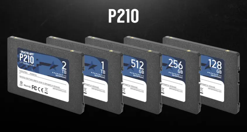 Patriot P210 P210S512G25 512GB SATA 3 SSD Disk