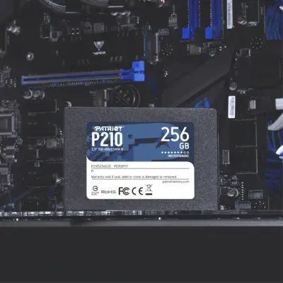 Patriot P210 P210S256G25 256GB SATA 3 SSD Disk